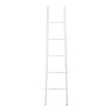 Creative Co-Op Fir Wood Blanket, White Decorative Ladder | Amazon (US)