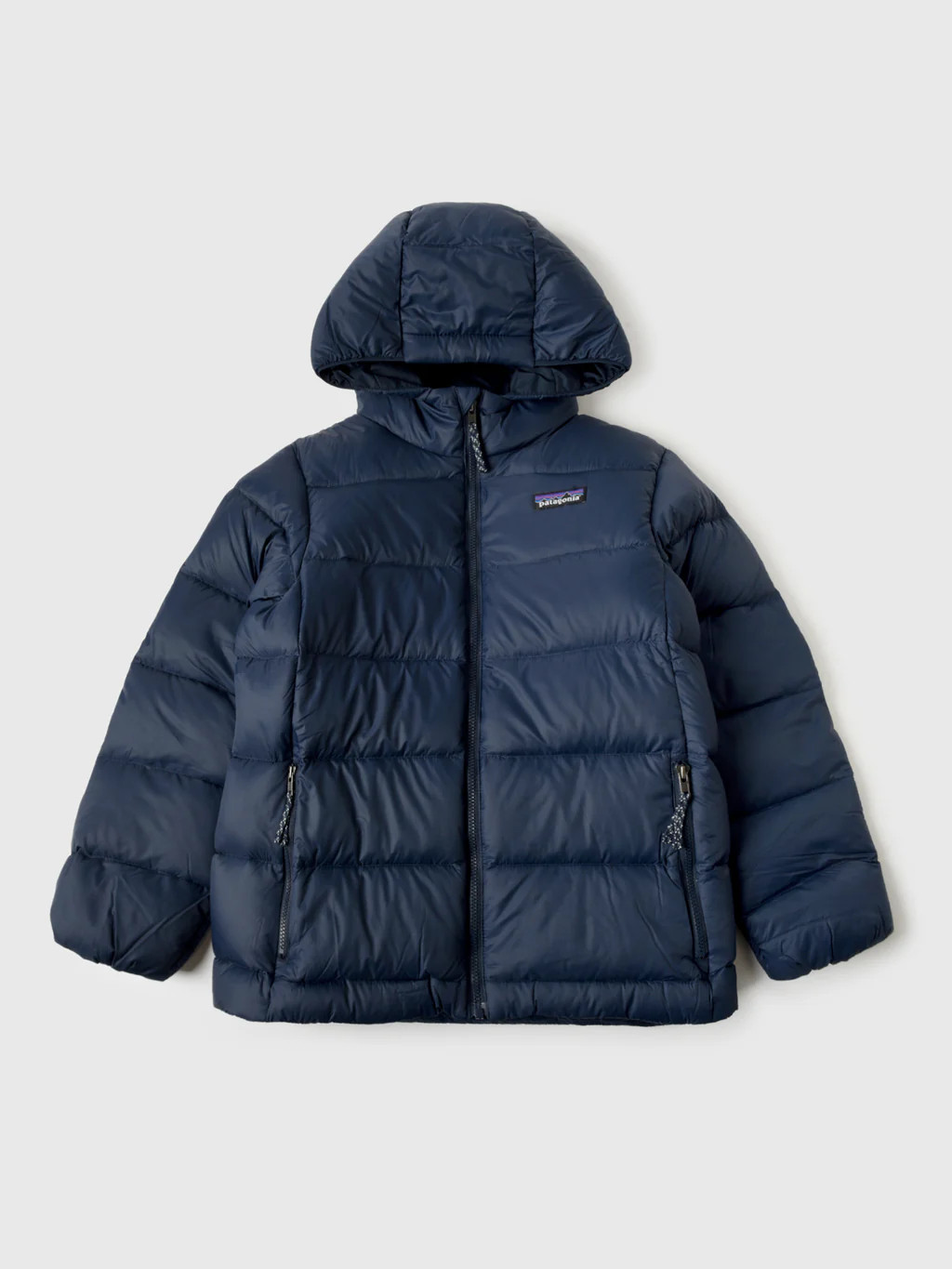 Patagonia Kids' Hi-Loft Down Sweater\u2122 Hoody | Saint Bernard