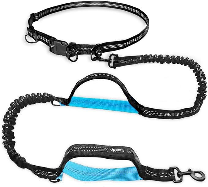 UPPETLY Hands Free Dog Running Leash with Adjustable Waist Belt, Dual Handle Elastic Bungees Retr... | Amazon (US)