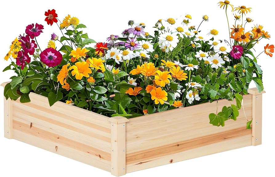 FREE delivery Saturday, October 12 | Amazon (CA)