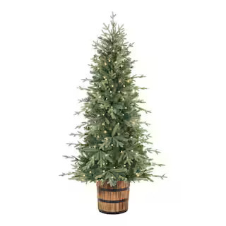 Home Accents Holiday 6 ft Fraser Fir Potted Christmas Tree 22GR00226 - The Home Depot | The Home Depot