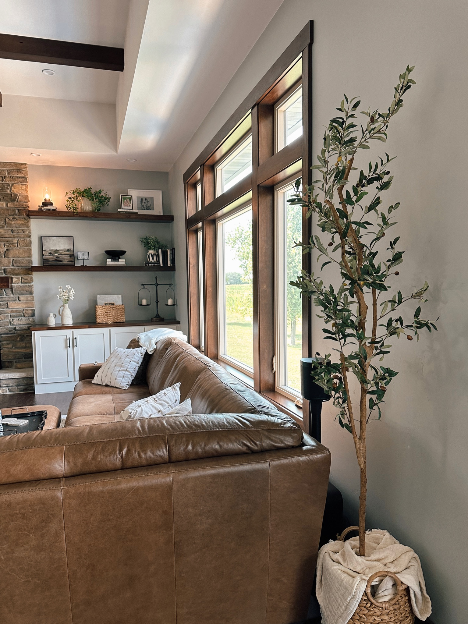 Use code: NEW at checkout for 30% off! I have the 8ft olive tree and love it!🌿 

#LTKhome