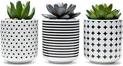 dipiti Artificial Succulent Plants in Pots-Set of 3|Black and White Ceramic Planters|Faux Plants ... | Amazon (US)