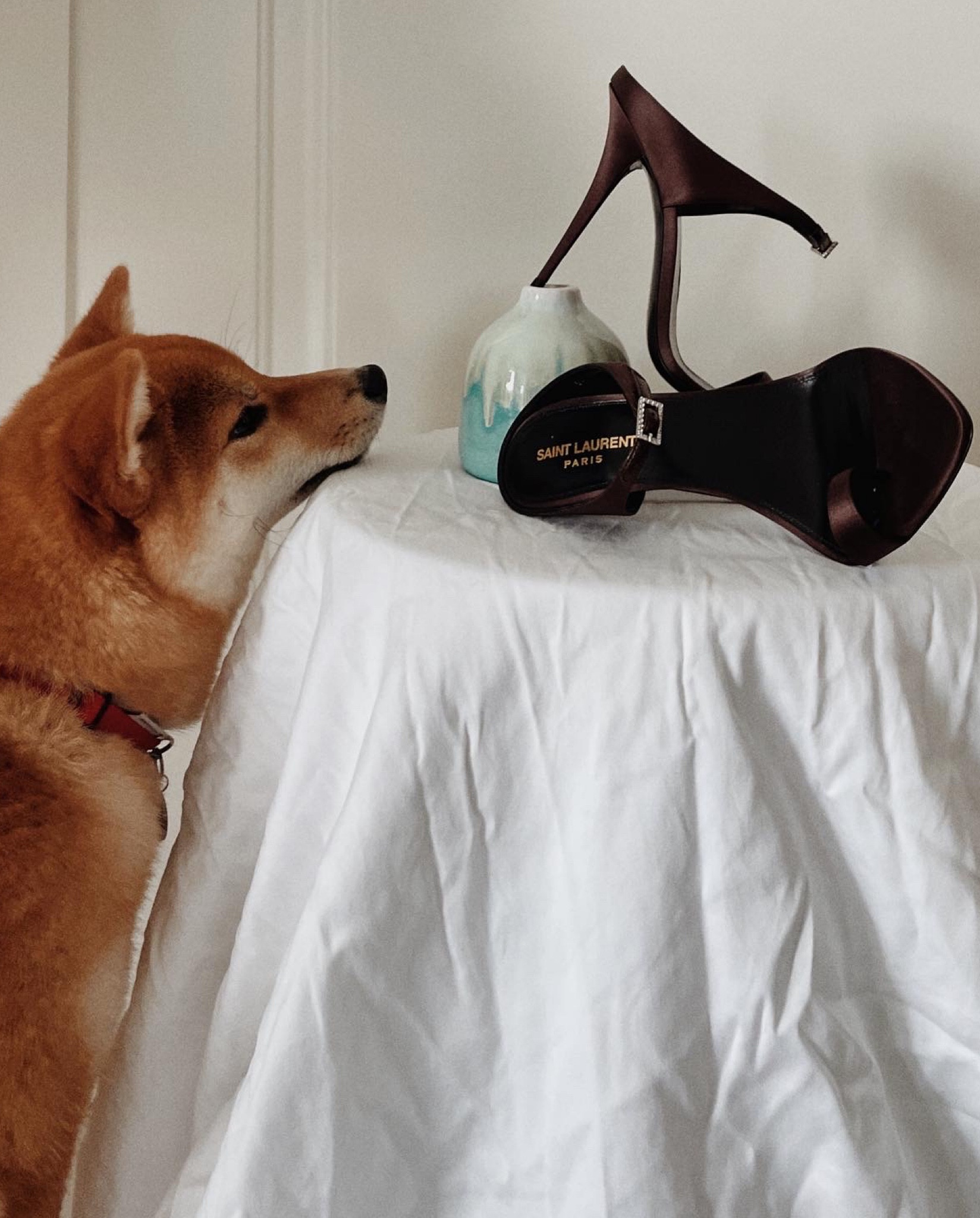 Everyone loved Saint Laurent

#LTKeurope #LTKGiftGuide #LTKFind