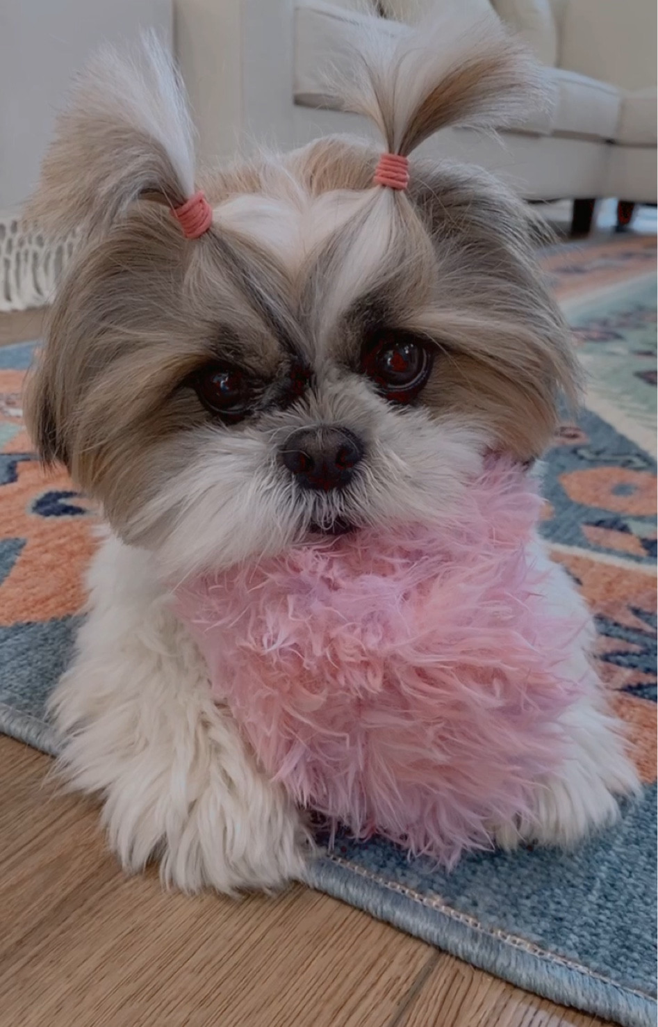 Interactive toy

#LTKFind #LTKbaby #LTKkids