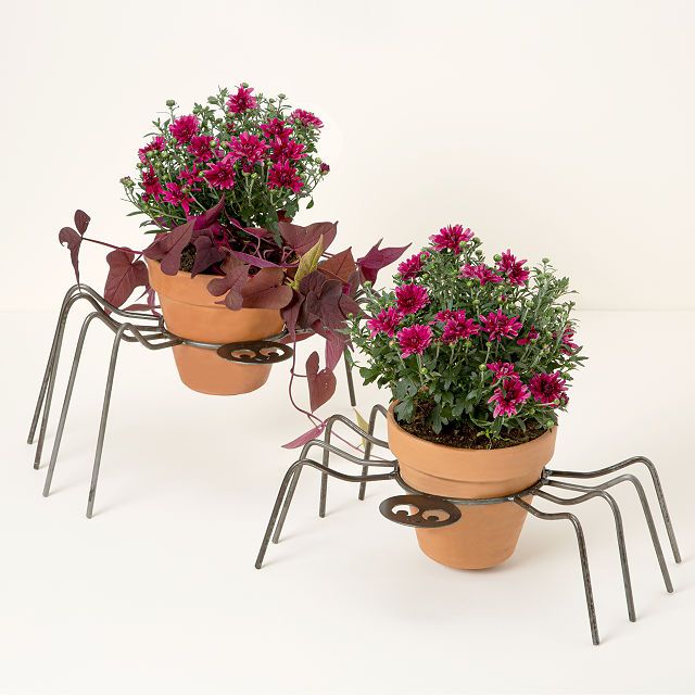 Spider Pumpkin & Flower Pot Holder | UncommonGoods