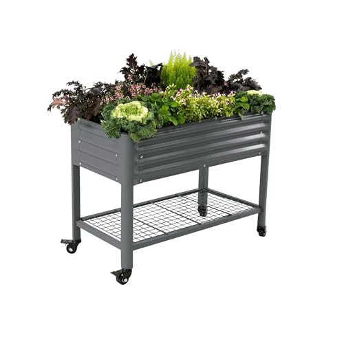 Rolling Elevated Raised Garden Bed-V Series, 2' x 4' Garden Beds with Legs & Storage Rack for Patio & Porch, 700 Lbs Weight Capacity, Outdoor Planter Box for Vegetables Flower Herbs, Modern Gray | Amazon (US)
