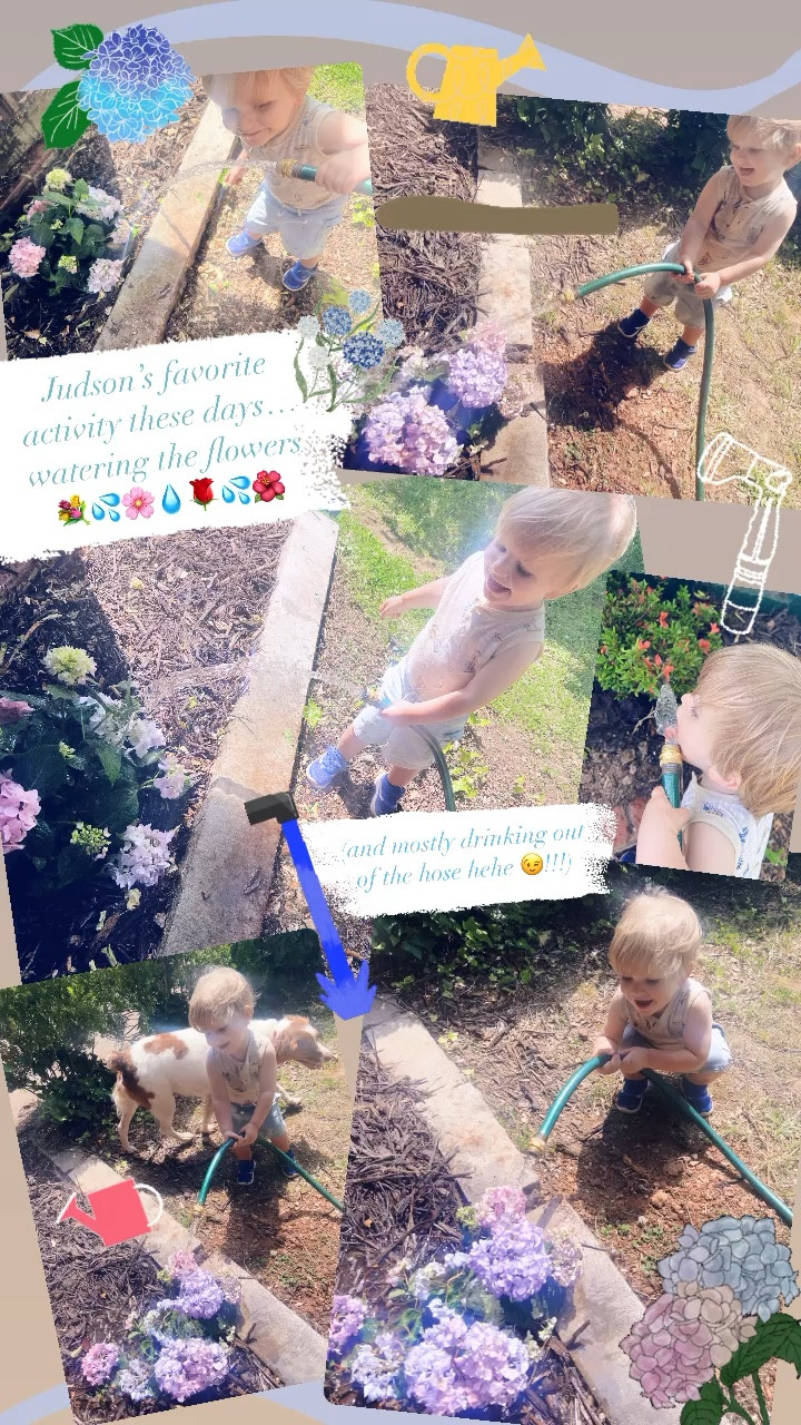 Judson’s favorite activity these days… watering the flowers 💐💦🌸💧🌹💦🌺 (and mostly drinking out of the hose hehe 😉!!!)

#LTKfamily #LTKbaby