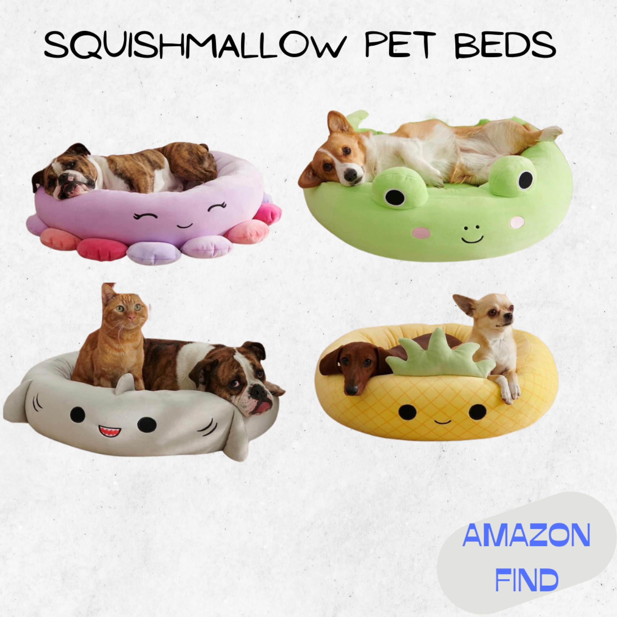 Buy Squishmallows Official 24-Inch Wendy Frog Pet Bed - Medium