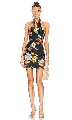 Paco Dress
                    
                    Ronny Kobo | Revolve Clothing (Global)