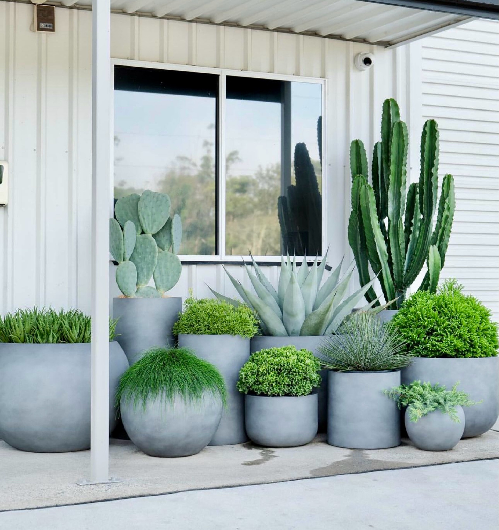 Grey Pátio Planters!
#planters #gardening #patio plants 

#LTKSeasonal #LTKHome #LTKStyleTip