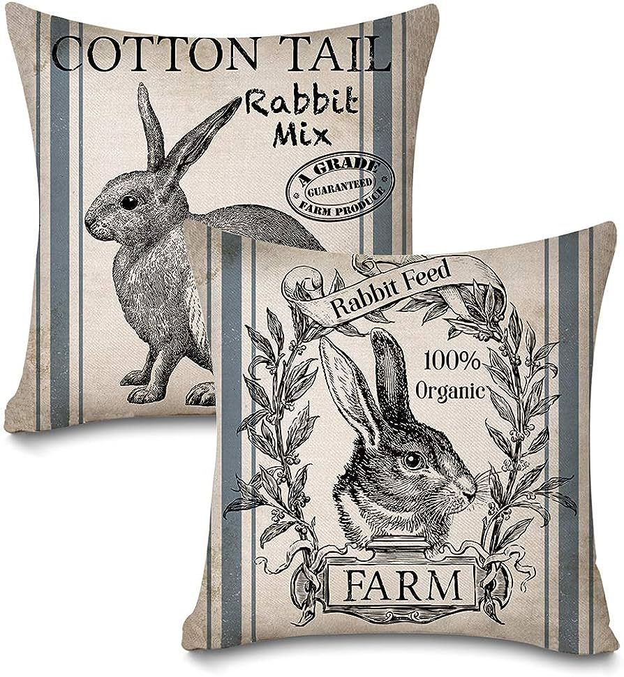 Faromily Vintage Farmhouse Bunny Throw Pillow Covers Retro Farm Rabbit Feed Home Décor Throw Pil... | Amazon (US)
