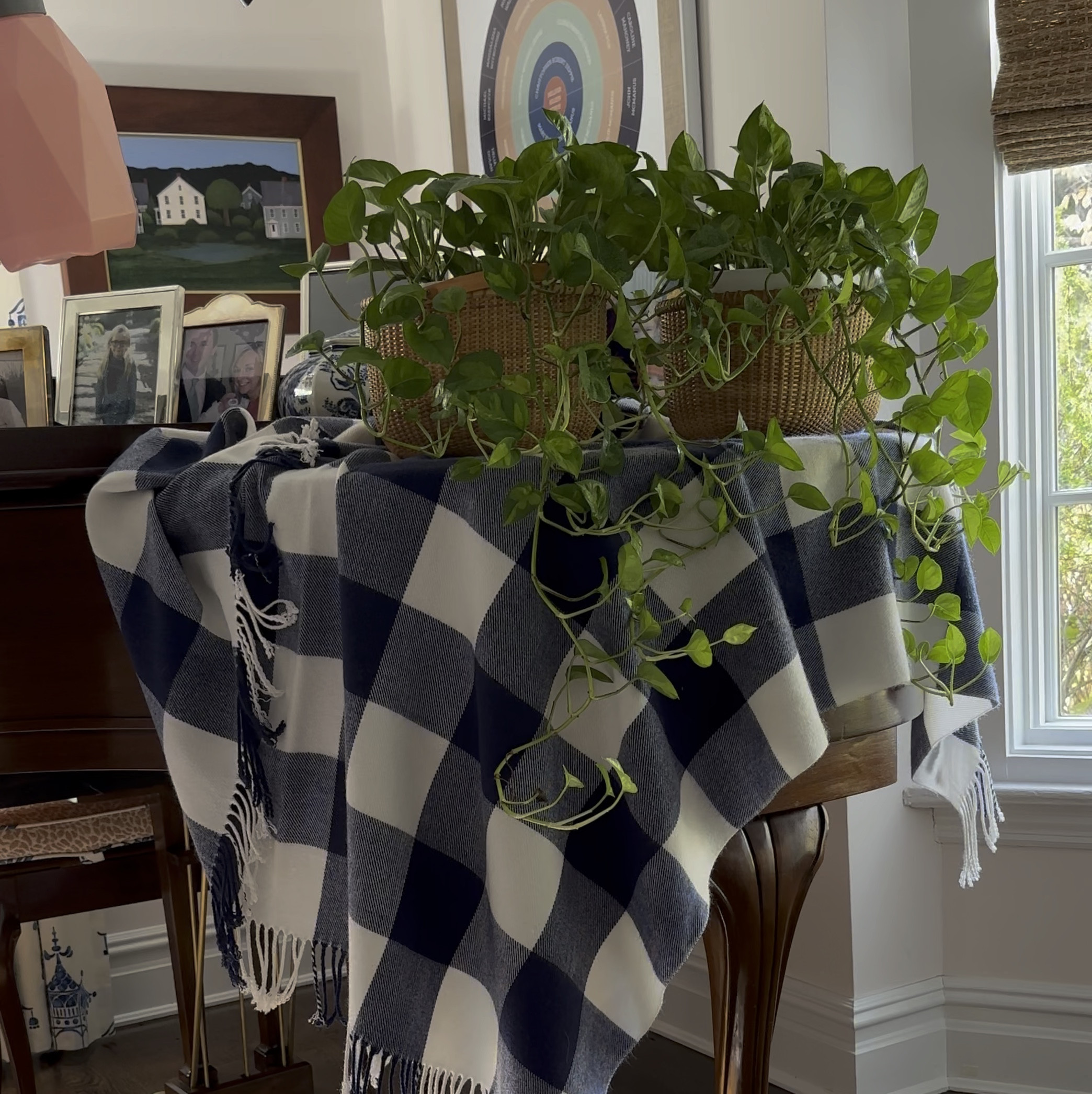 Making Plant Care a Breeze! 💧 Meet my electric watering can—because even plants deserve a little high-tech love! 🌱 This automatic plant waterer keeps my indoor jungle hydrated without the fuss, and it’s stylish enough to stay on display. Great for those of us with a green thumb... or just a busy schedule! Perfect for plant parents, gift-givers, and anyone looking to level up their indoor gardening. #ElectricWateringCan #AutomaticPlantWaterer #PlantCareEssentials #IndoorPlants #HouseplantLover #GardeningGadgets #GreenThumb #AllAmericanKids.

#LTKHoliday #LTKGiftGuide #LTKCyberWeek