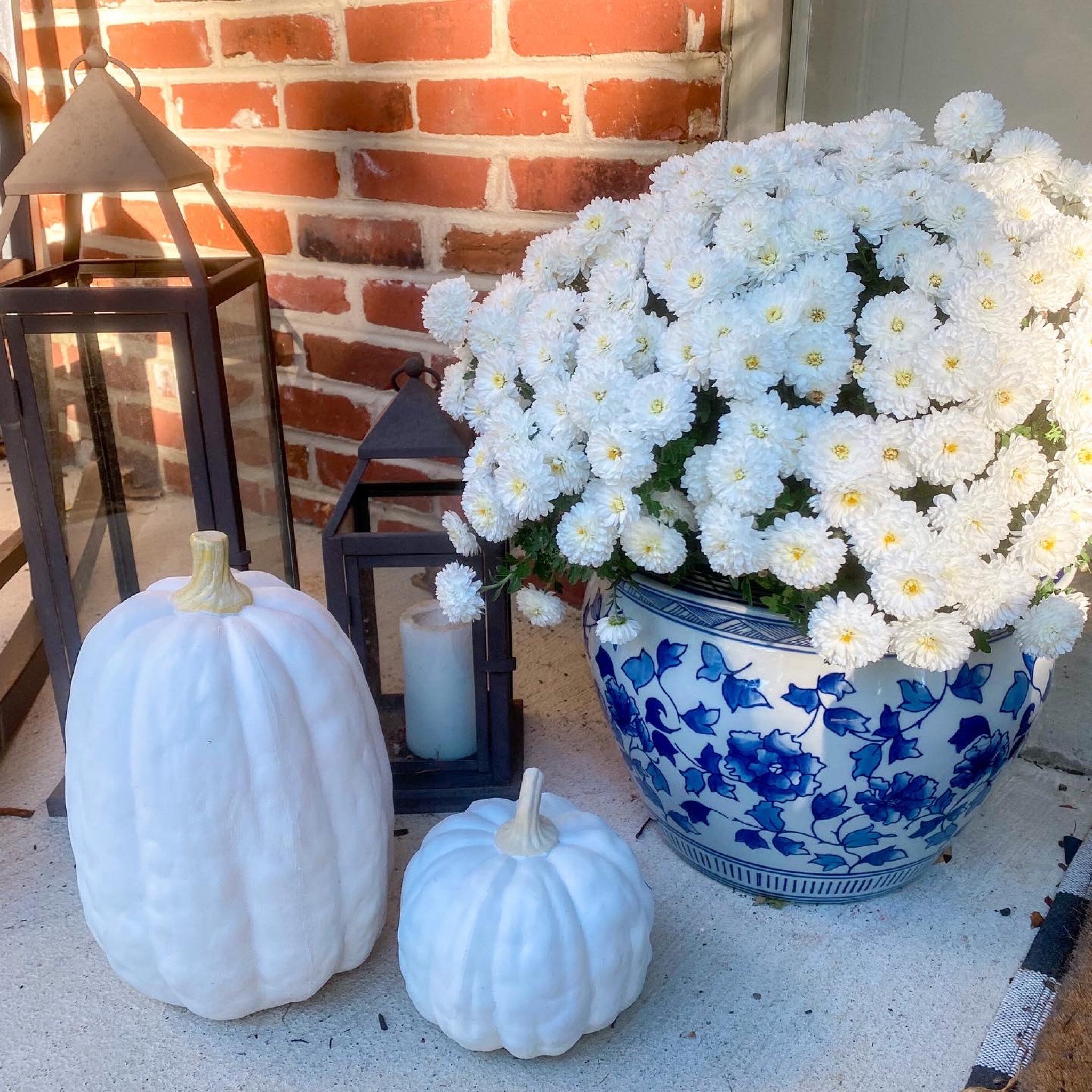 A plantar that works all year long! 

#LTKSeasonal #LTKhome #LTKHoliday