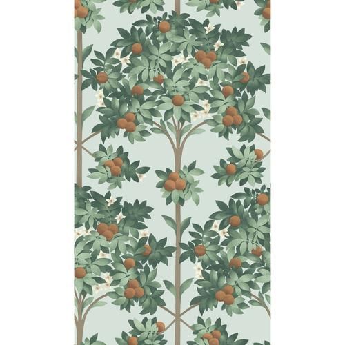 Cole & Son Orange Blossom Burnt Orange/Mint/Seafoam Wallpaper | DecoratorsBest | DecoratorsBest