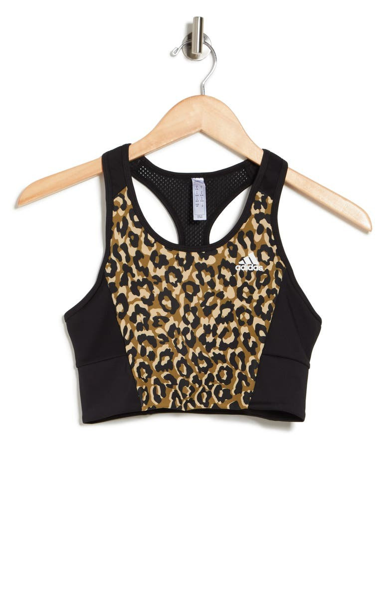 Leopard Print Sports Bra | Nordstromrack | Nordstrom Rack