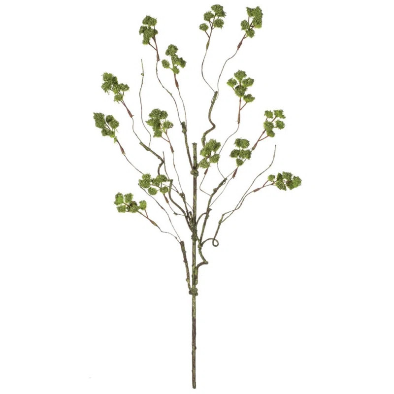 Gracie Oaks Irish Moss Sprays | Wayfair | Wayfair North America