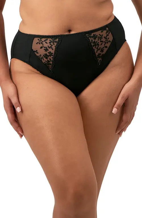 Elomi Zarla High Leg Briefs in Black at Nordstrom, Size X-Large | Nordstrom