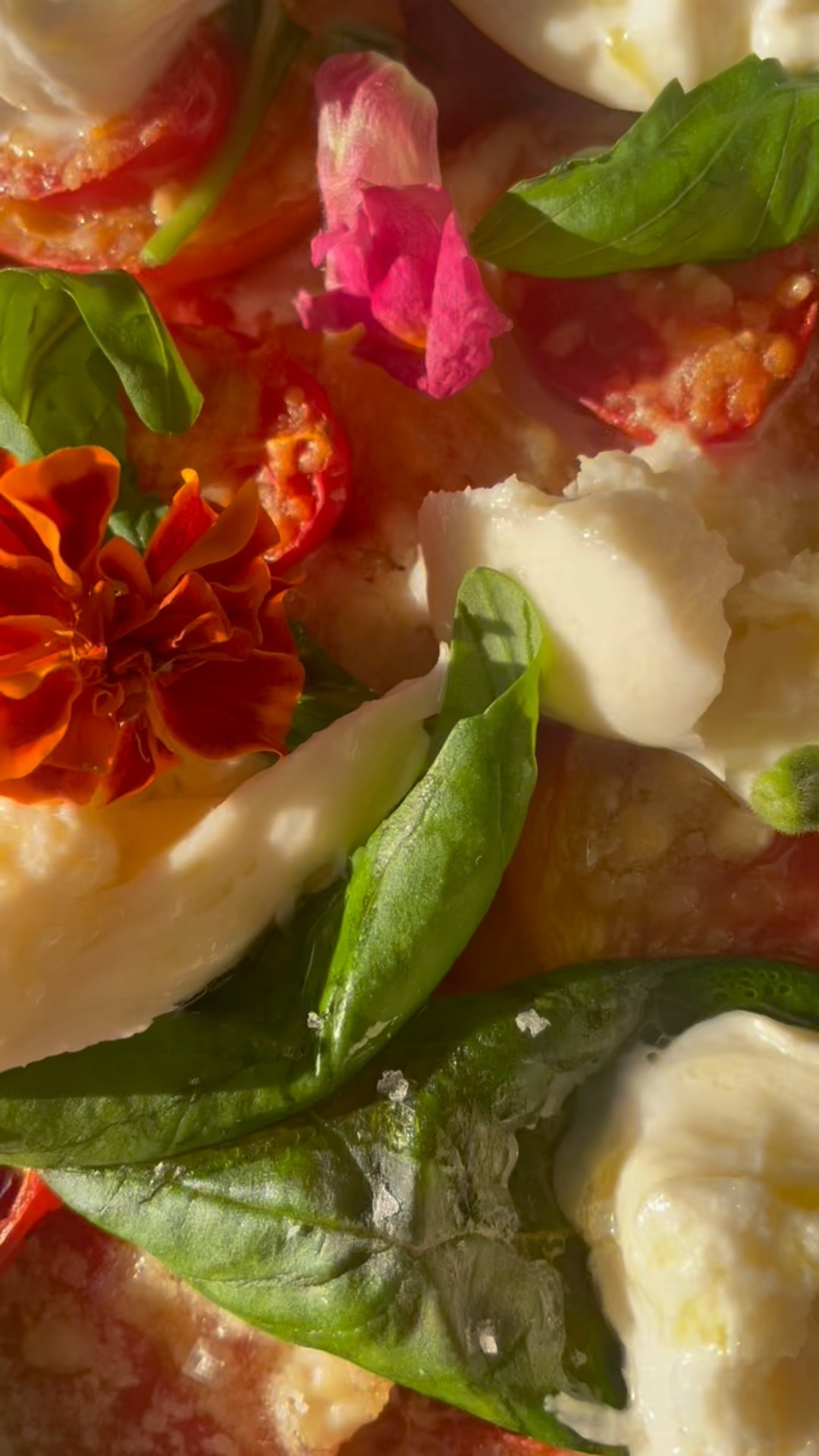 Summer on a plate!!! Recipe found in the highly recommended Wishbone Kitchen cookbook!!!!
|
#arebelinprada #tomatoseason 
#summereats 

#LTKSummerEdit #LTKParties