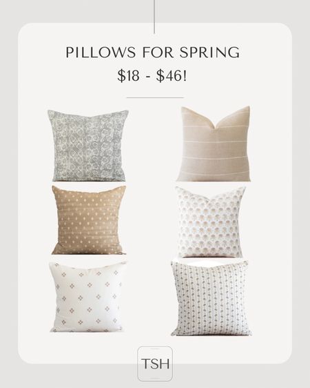 Throw pillow perfect for spring!  Living room decor, bedroom decor

#LTKFind #LTKunder50 #LTKhome