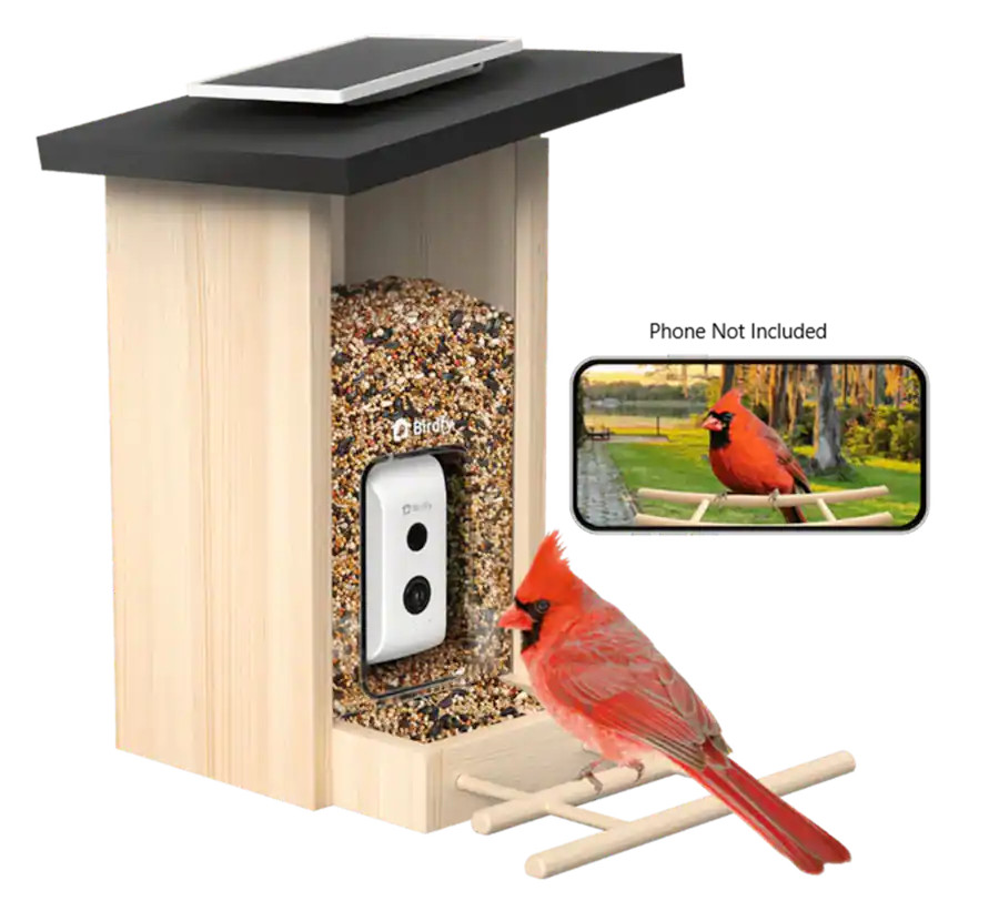 BIRDFY - Smart Bird Feeder with Camera, Bird Watching Camera with Solar Panel, AI Identify 6000+ ... | Best Buy U.S.