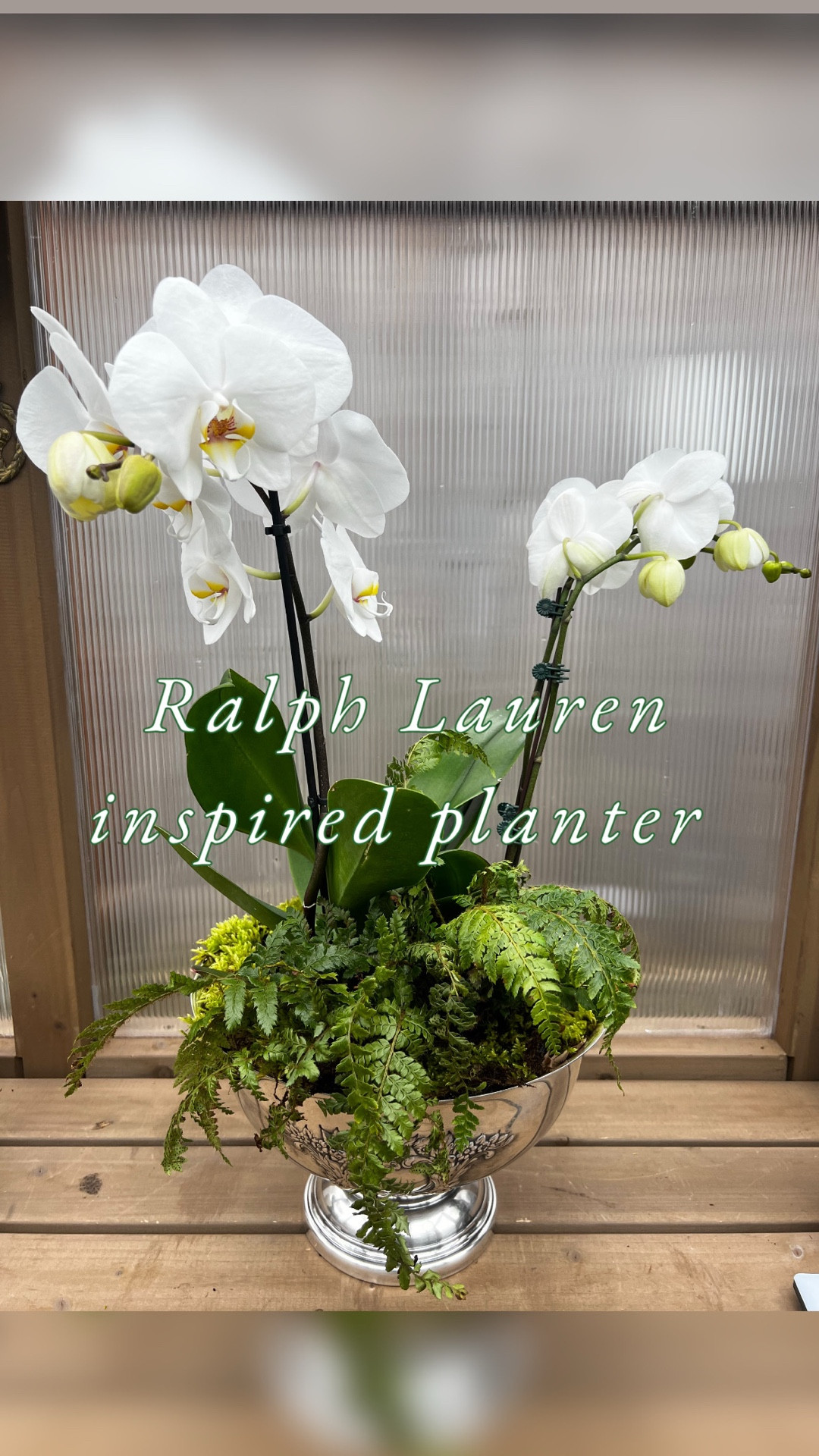 Ralph Lauren inspired planter.  My plants are tall but her tensile great faux options! 

#LTKdayinmylife #LTKOver40 #LTKHome