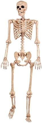 Amazon.com: Crazy Bonez Pose-N-Stay Skeleton : Home & Kitchen | Amazon (US)