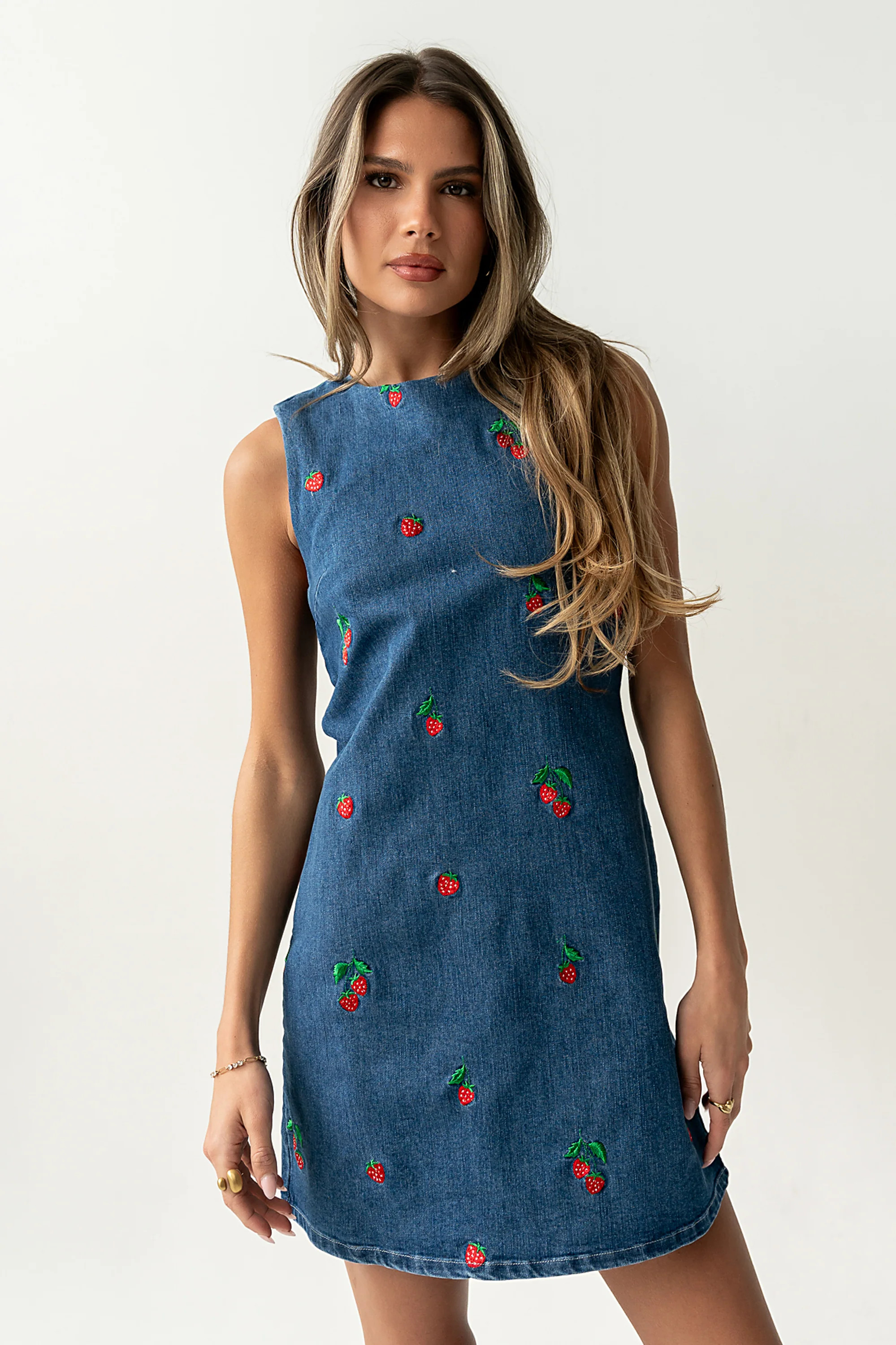 Kesley Embroidered Mini Dress | Böhme US