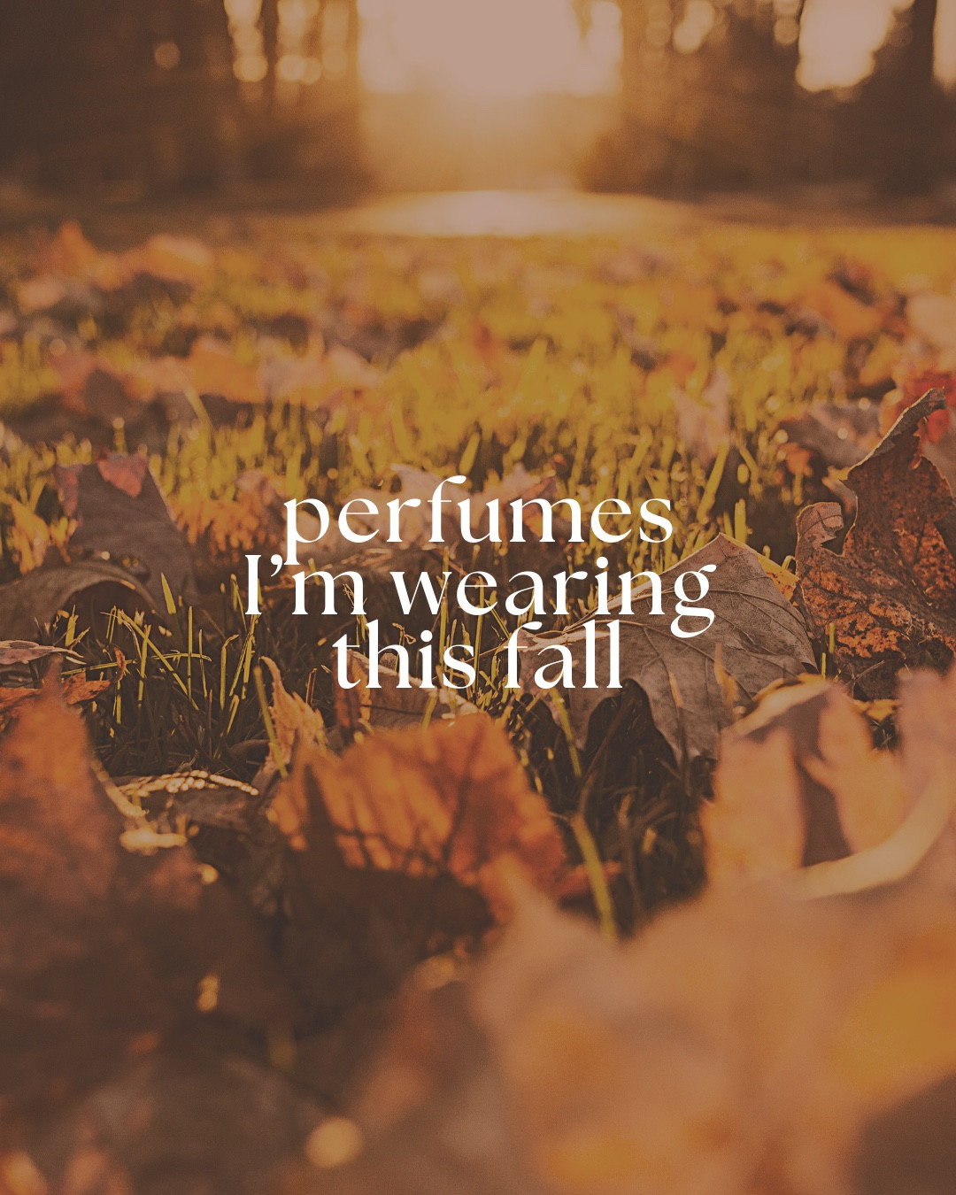 Fall perfume. Fall fragrance. Fall beauty. Woody perfumes.

#LTKHalloween #LTKBeauty #LTKSeasonal