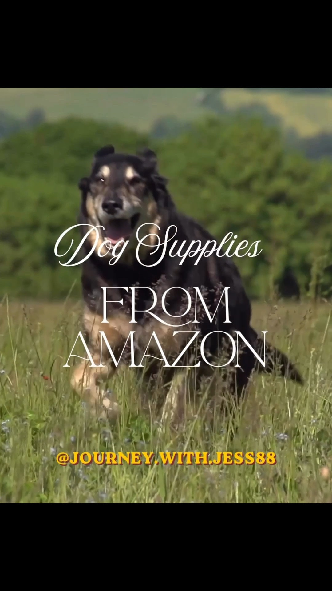 Paw approved 🐾 favorites from Amazon! 

#doglovers #dogfinds #doglife #amazonfinds #dogsupplies

#LTKSaleAlert #LTKActive #LTKTravel
