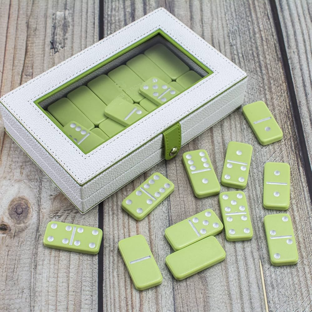 Bucher&Rossini Domino Set Double 6, Classic 28 Pieces Double Six in Durable PU Box for Kids and A... | Amazon (US)