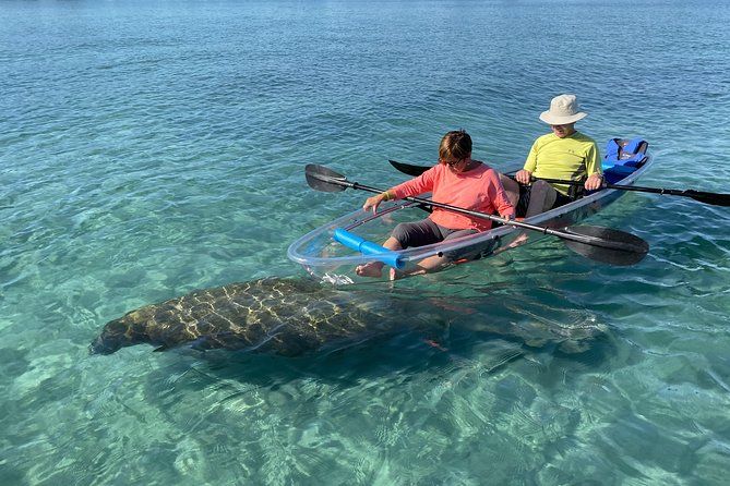 Clear Kayak Tour in Jupiter | Viator