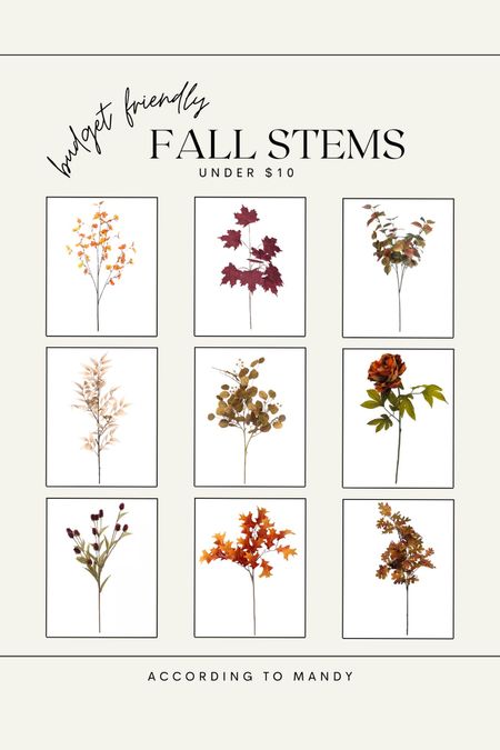 Budget friendly fall stems

Fall floral/ faux stems, fall decor finds 


#LTKunder50 #LTKSeasonal #LTKSale