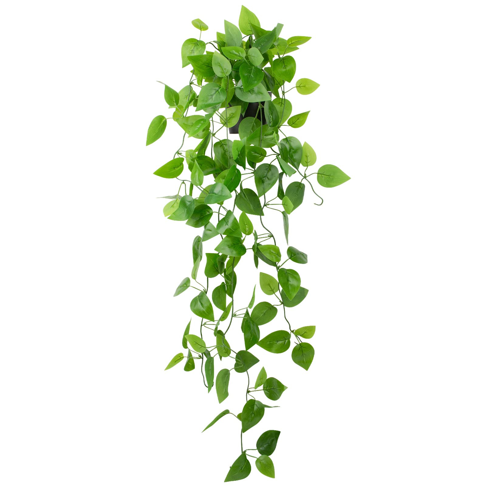 1 Pot | Amazon (US)