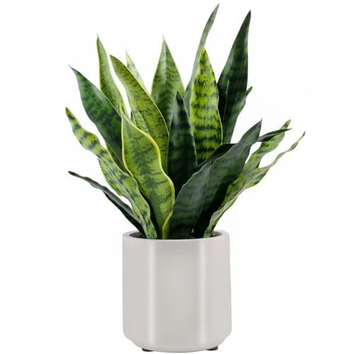 BTHM DSGN Fake Snake Plant 22" Tall, Realistic Touch Leaves, Potted Artificial Plants Indoor for Home Decor Small Office Home Living Room | Amazon (US)