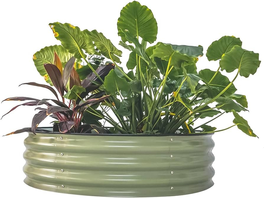 Vego garden 11" Tall 42" Round Raised Garden Bed Metal Raised Bed Planter Box for Vegetables Flow... | Amazon (US)