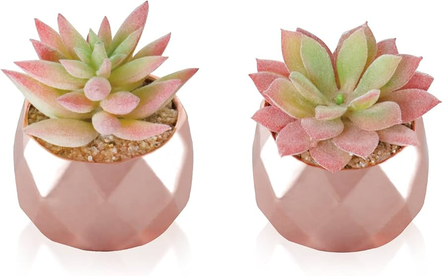 Tiita Mini Rose Gold Artificial Succulents in Pots for Desk and Shelf Decor | Amazon (US)