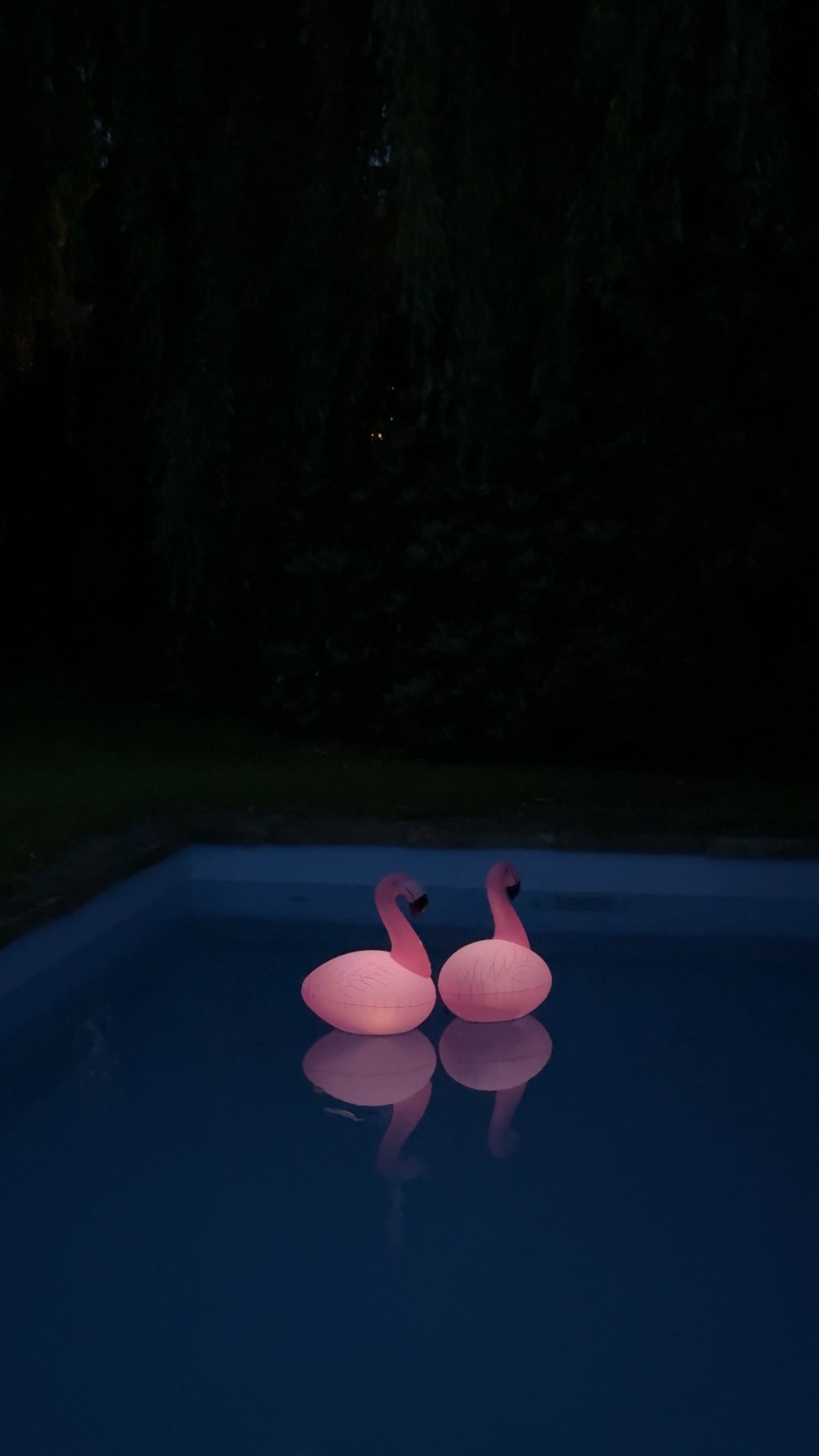 #summeressentials #flamingo #amazonfinds

#LTKsummer #LTKdeutschland #LTKhome