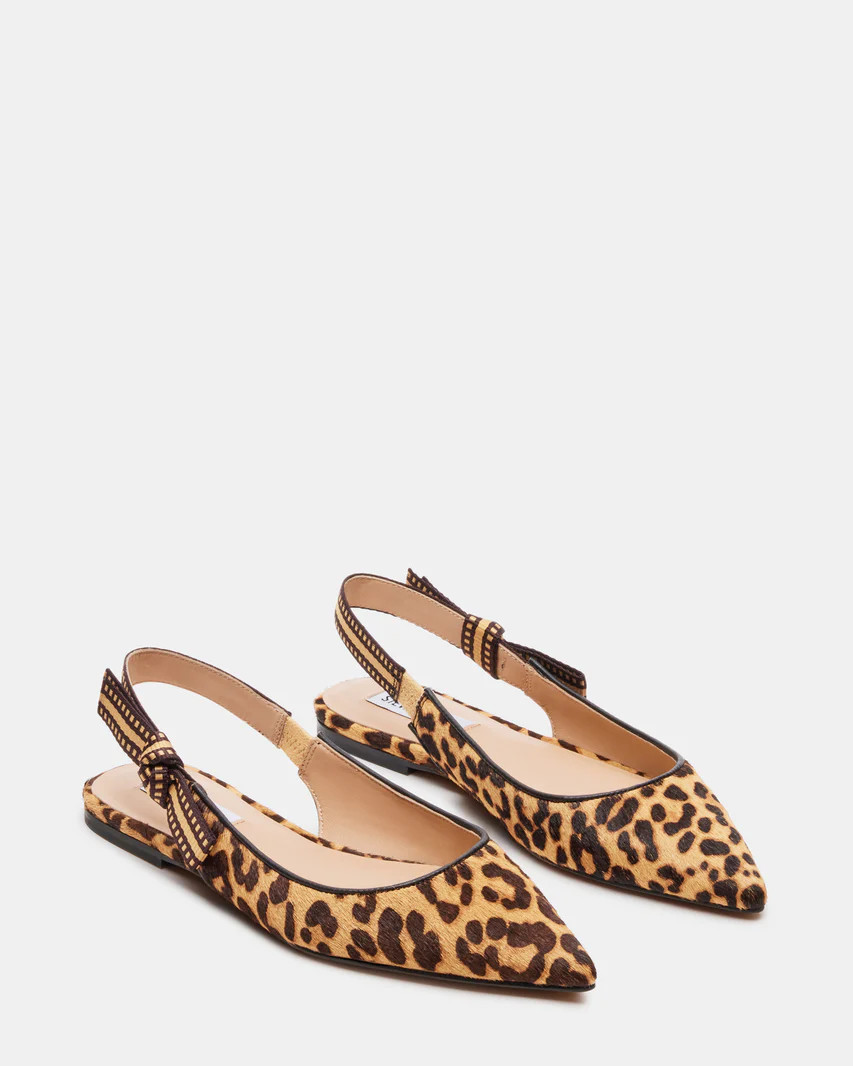 OLSEN Leopard Slingback Pointed Toe Ballet Flat | Women's Flats | Steve Madden (US)
