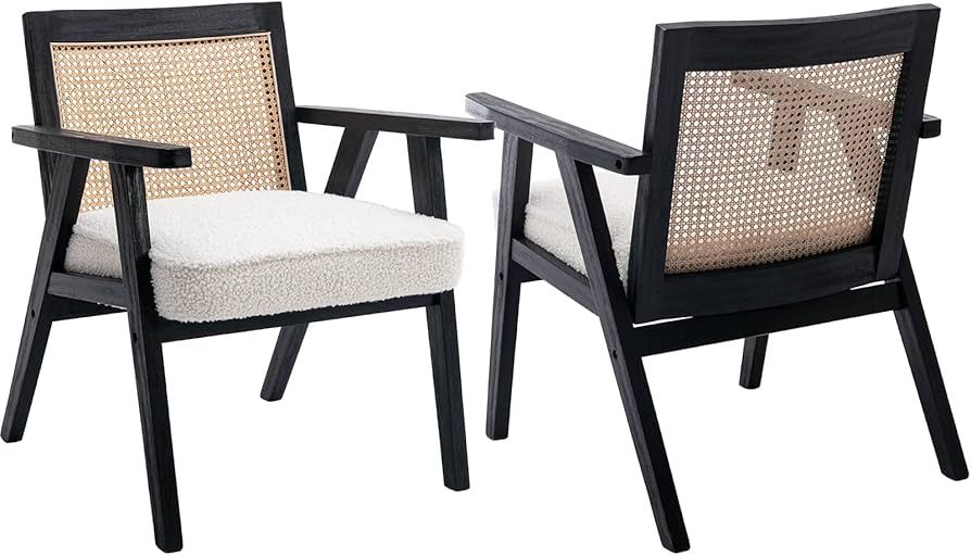 Guyou Modern Rattan Arm Chairs Set of 2, Living Room Accent Chair with Rattan Back Faux Fur Seat,... | Amazon (US)
