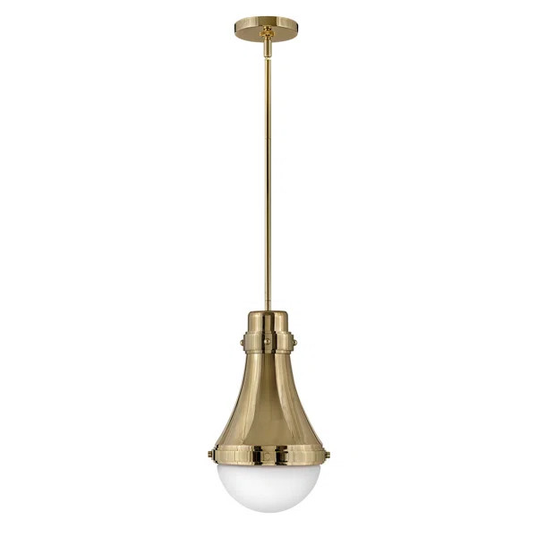 Oliver 1 - Light Single Teardrop Pendant | Wayfair North America