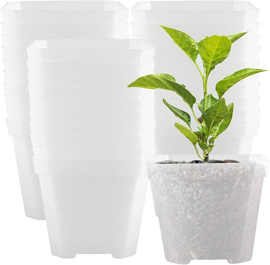 40 PCS 4 Inches Plastic Square Nursery Pot, Transparent Square Plastic Starter Pots with Drainage... | Amazon (US)