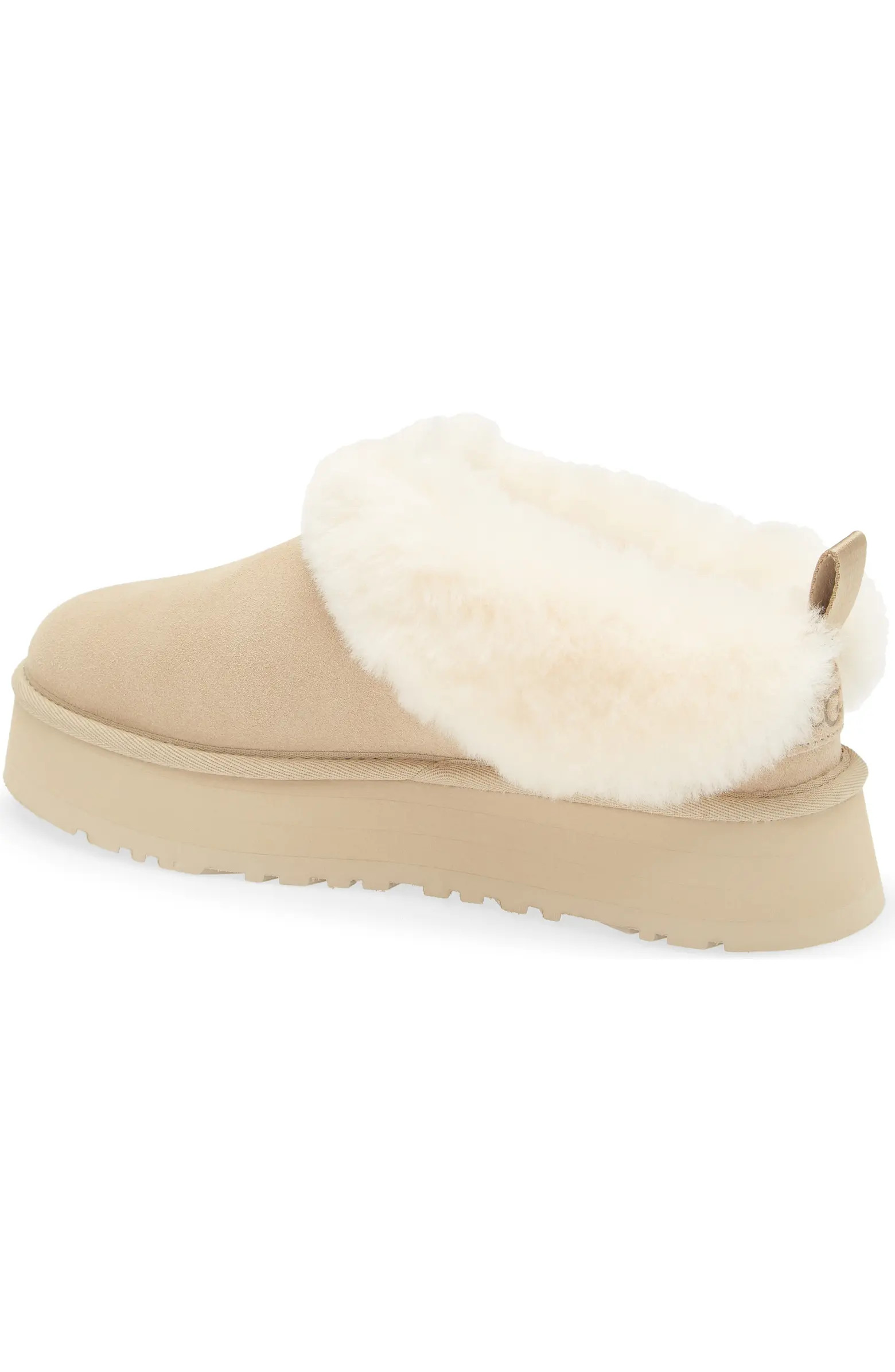 Tazzelle Genuine Shearling Collar Slipper (Women) | Nordstrom