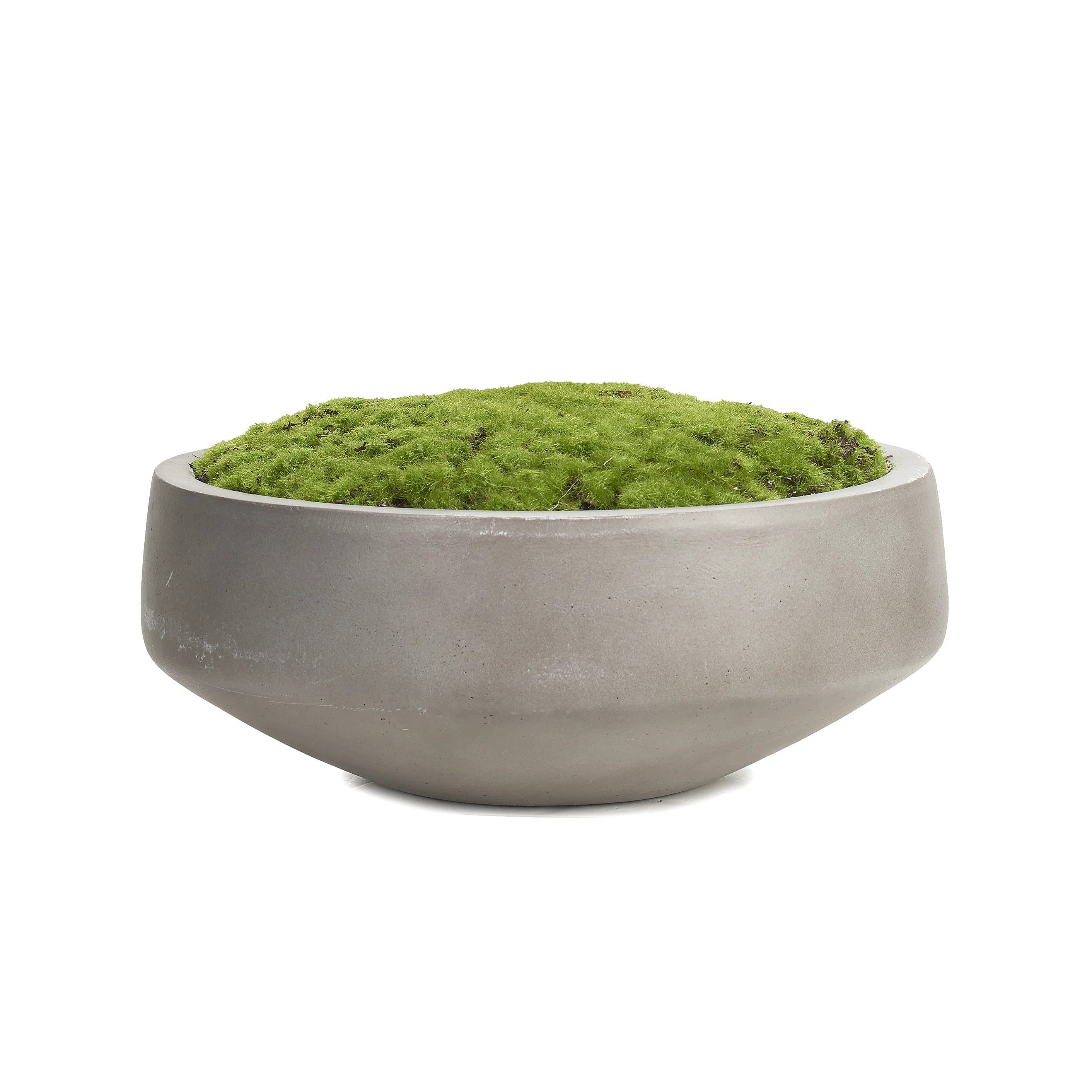 Ophelia & Co. Moss Batting in Cement Dish & Reviews | Wayfair | Wayfair North America