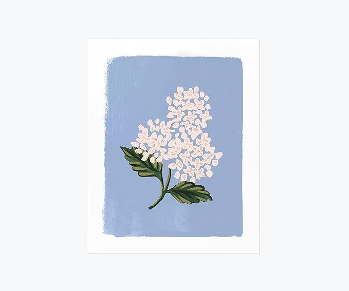 RIFLE PAPER CO. Hydrangea Bloom Blue Art Print, 8" W x 10" Long, Wake Up Your Walls and Shelves W... | Amazon (US)