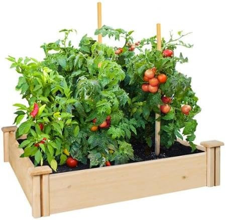 Greenes Fence 42" x 42" x 5.5" Cedar Raised Garden Bed | Amazon (US)