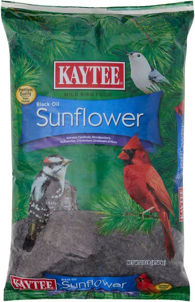 Kaytee Black Oil Sunflower Bird Food, 10-lb bag | Chewy.com