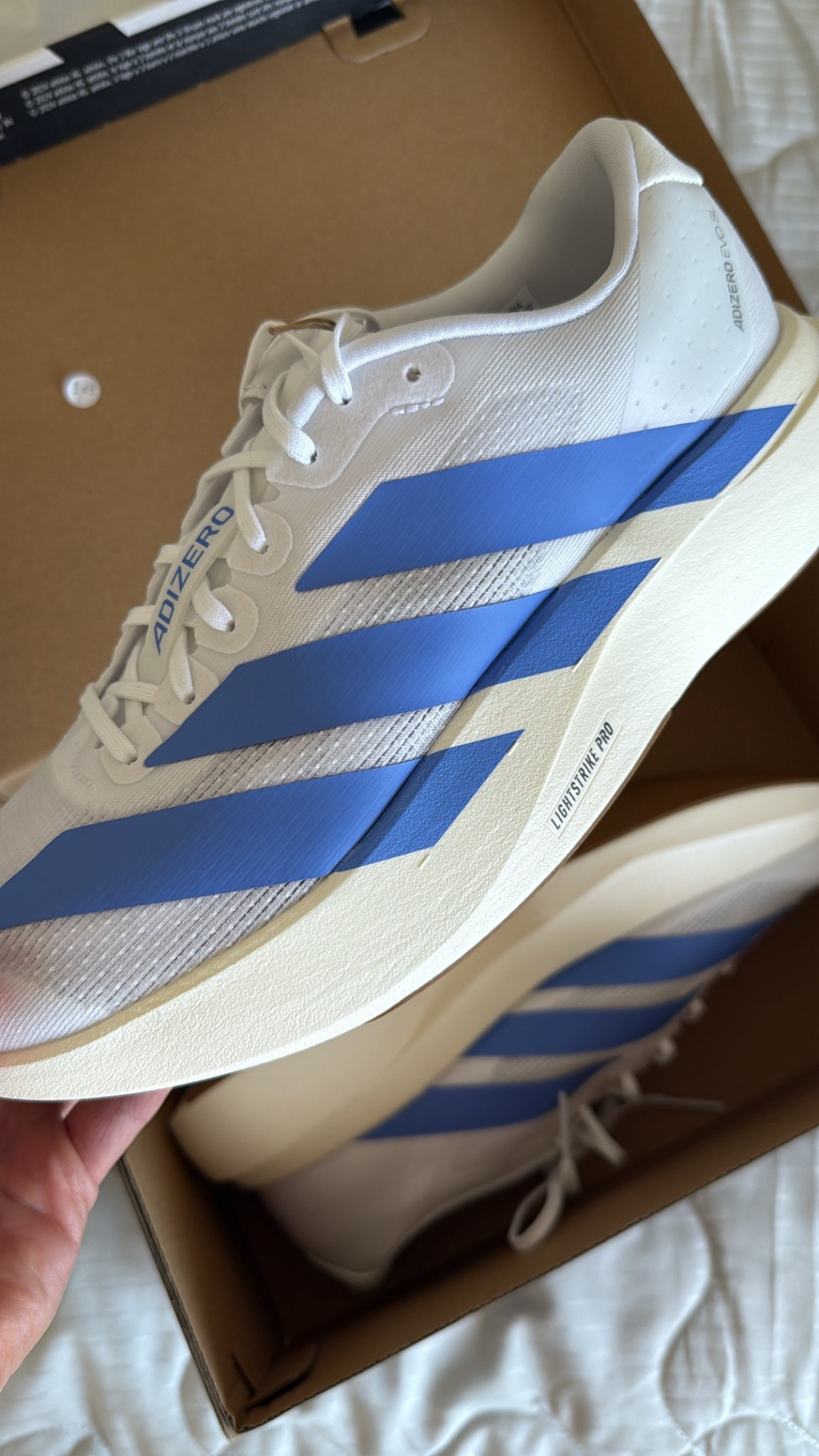 New running shoes🤩 Happy global running day!

#LTKFindsUnder100 #LTKFindsUnder50 #LTKActive