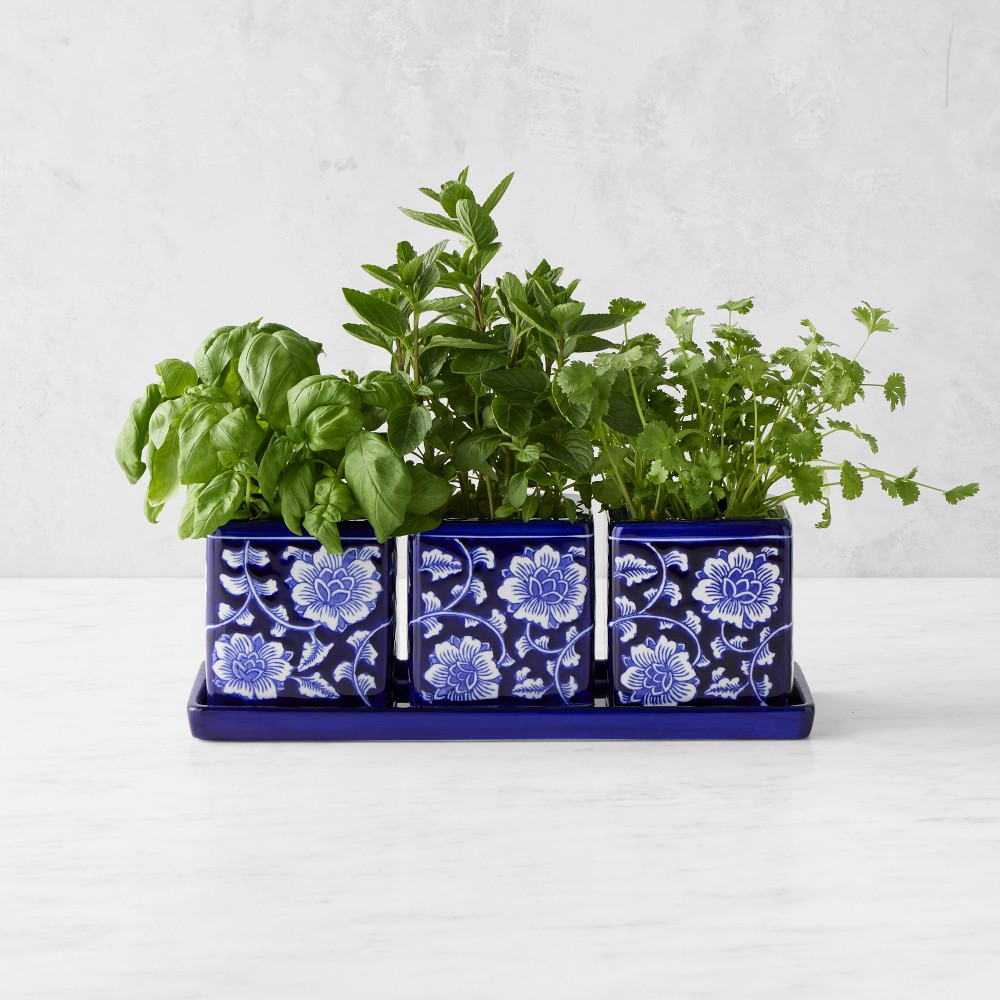 Shop All | Williams-Sonoma