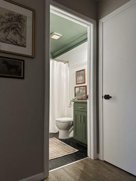 Guest bathroom reveal! 

Green bathroom vanity, green ceiling, vintage art, brass cabinet pulls, Amazon finds, hearth and hand shower curtain, white shower curtain, black porcelain tile, brass bathroom fan, Surya Our PNW rug

#LTKstyletip #LTKhome